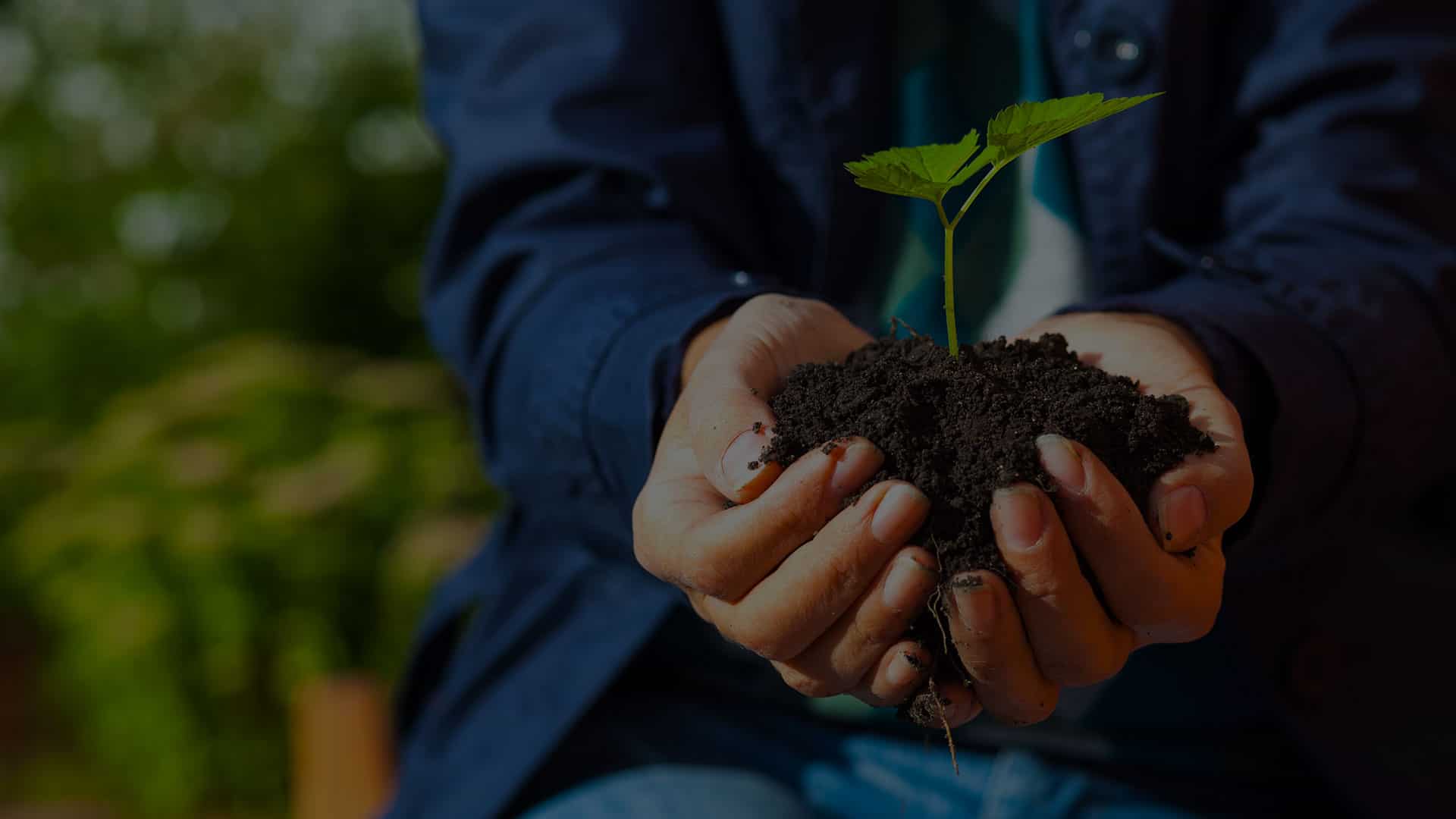 Social Sector Social Sector